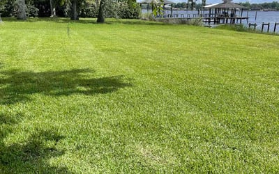 Photo of Lisa W.'s yard after getting lawn care in Portsmouth, VA