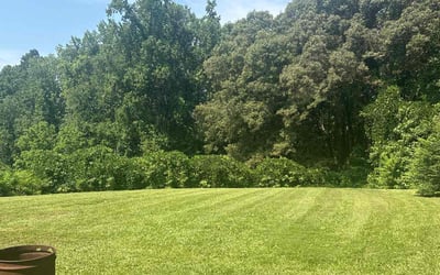 Photo of Karan T.'s yard after getting lawn care in Shelbyville, IN