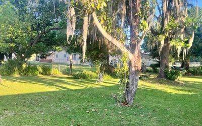 Photo of Yong Z.'s yard after getting lawn care in Coolidge, AZ