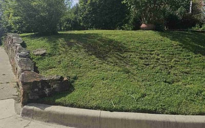 Photo of Clayton Q.'s yard after getting lawn care in Vail, AZ