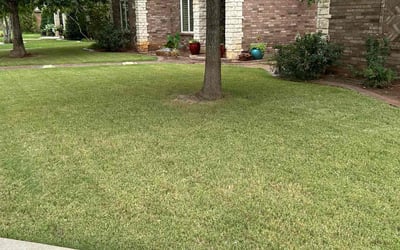 Photo of Liang H.'s yard after getting lawn care in Lubbock, TX