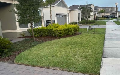 Photo of Liza V.'s yard after getting lawn care in Selma, NC