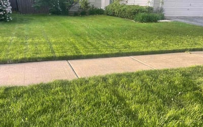 Photo of Coley T.'s yard after getting lawn care in Woodridge, IL