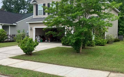 Photo of Ray K.'s yard after getting lawn care in Moncks Corner, SC