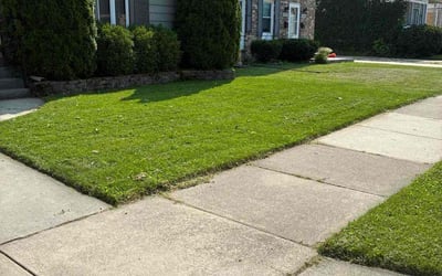 Photo of Yvonne W.'s yard after getting lawn care in Anderson, SC
