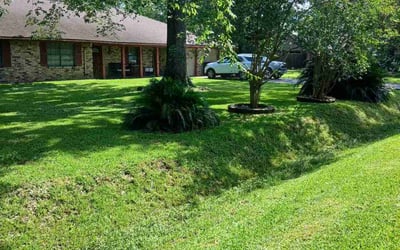 Photo of Hollie D.'s yard after getting lawn care in Front Royal, VA