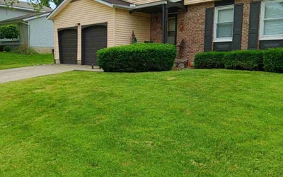 Photo of Justin M.'s yard after getting lawn care in Piqua, OH