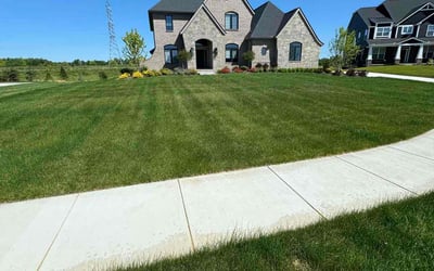 Photo of Kenneth M.'s yard after getting lawn care in Royal Oak, MI