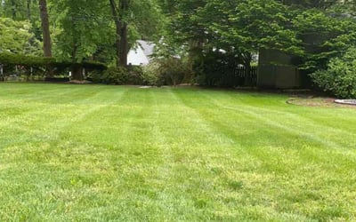 Photo of Bre R.'s yard after getting lawn care in Newton, NJ