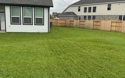 Photo of Zainab W.'s yard after getting lawn care in Warminster, PA