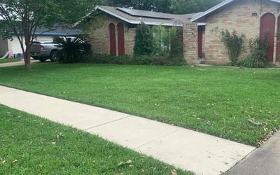 Photo of Latoya W.'s yard after getting lawn care in Texarkana, TX