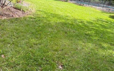 Photo of Erich M.'s yard after getting lawn care in East Greenwich, RI