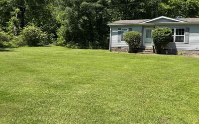 Photo of Judy D.'s yard after getting lawn care in Dawsonville, GA