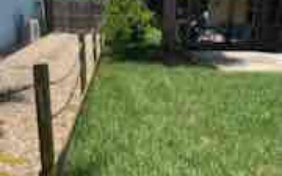 Photo of Laura S.'s yard after getting lawn care in East Windsor, CT