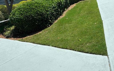 Photo of Ruth S.'s yard after getting lawn care in Guyton, GA