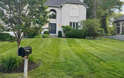Photo of Marcei S.'s yard after getting lawn care in Burr Ridge, IL
