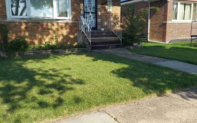 Photo of Linda R.'s yard after getting lawn care in Chicago Ridge, IL