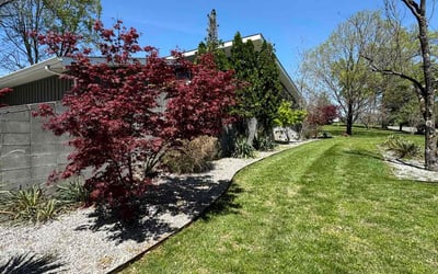 Photo of James K.'s yard after getting lawn care in Nashville, TN
