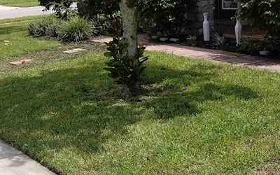 Photo of Lily L.'s yard after getting lawn care in Apopka, FL