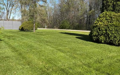Photo of Linda H.'s yard after getting lawn care in Boardman, OH