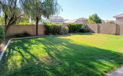 Photo of Myrna R.'s yard after getting lawn care in Mesa, AZ
