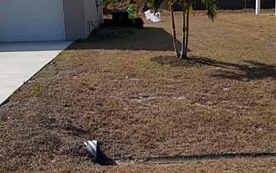 Photo of Mitzi M.'s yard after getting lawn care in Miami Gardens, FL