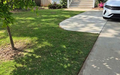 Photo of Brian L.'s yard after getting lawn care in Atlanta, GA