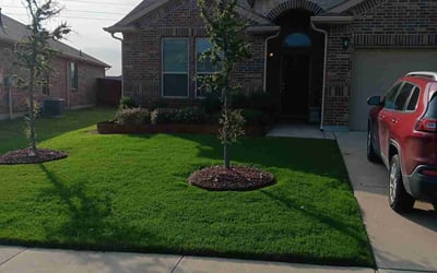 Photo of Jacqueline S.'s yard after getting lawn care in Saginaw, TX