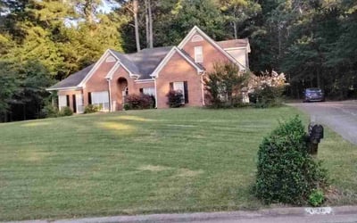 Photo of Lacey D.'s yard after getting lawn care in Bluffton, SC