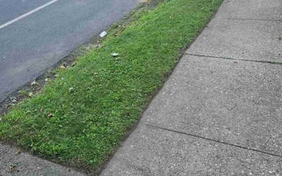 Photo of John C.'s yard after getting lawn care in Clark, NJ