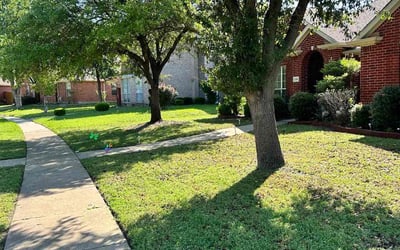 Photo of Chandrakant D.'s yard after getting lawn care in Cypress, TX