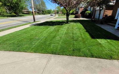 Photo of Charley B.'s yard after getting lawn care in Chardon, OH