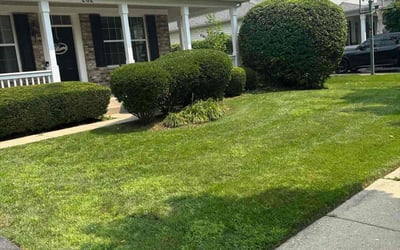 Photo of Mary A.'s yard after getting lawn care in Lititz, PA