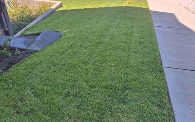 Photo of Natalie A.'s yard after getting lawn care in Portland, OR