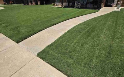 Photo of Kelly K.'s yard after getting lawn care in Manchester, NH