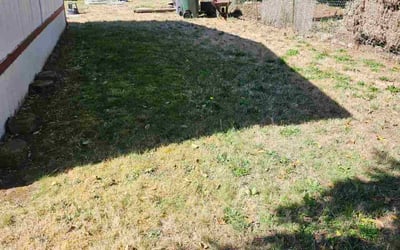 Photo of Robyn C.'s yard after getting lawn care in Phillipsburg, NJ