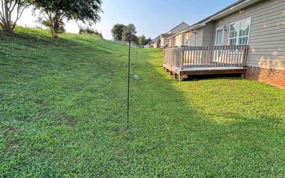 Photo of Lydia M.'s yard after getting lawn care in Mocksville, NC