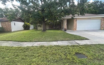 Photo of Robert J.'s yard after getting lawn care in Mastic, NY