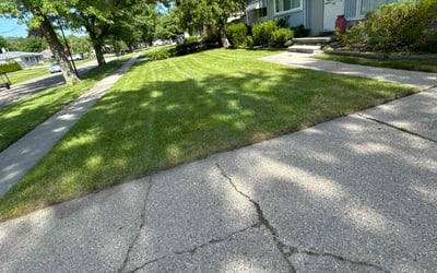 Photo of Ivan K.'s yard after getting lawn care in Clinton Township, MI