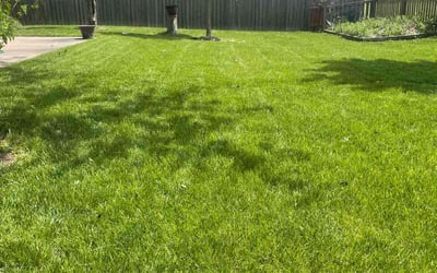 Photo of Carissa G.'s yard after getting lawn care in Aurora, IL