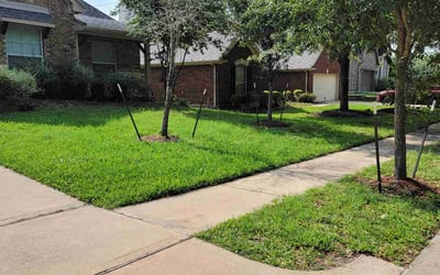 Photo of Danielle H.'s yard after getting lawn care in Cibolo, TX