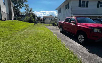 Photo of Alexix L.'s yard after getting lawn care in Harrisburg, PA