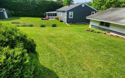 Photo of Stephanie P.'s yard after getting lawn care in Salisbury, MD