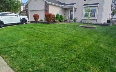 Photo of Lisa H.'s yard after getting lawn care in Jupiter, FL