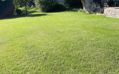 Photo of Dylan P.'s yard after getting lawn care in Dover, NH