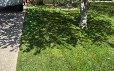 Photo of Jon E.'s yard after getting lawn care in Alexandria, KY