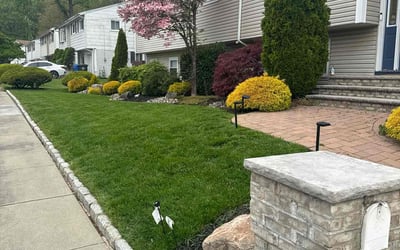 Photo of Niki W.'s yard after getting lawn care in Union City, NJ