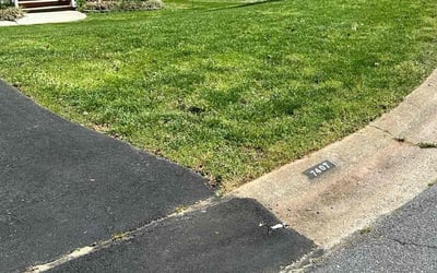 Photo of Mary R.'s yard after getting lawn care in Atwater, CA