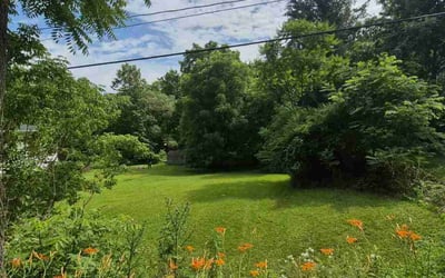 Photo of Matt S.'s yard after getting lawn care in Manassas, VA