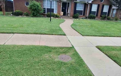 Photo of Robert D.'s yard after getting lawn care in Bayonne, NJ